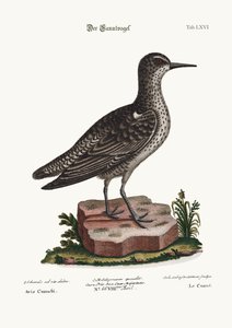 Knuten, 1749-73